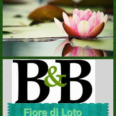 Fiore Di Loto ลิมาโตลา ภายนอก รูปภาพ